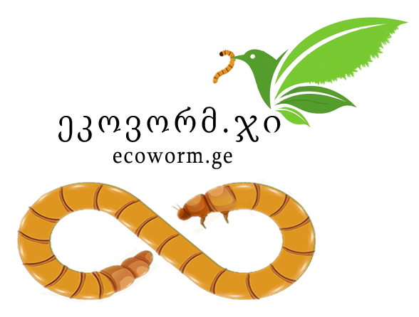 EcoWorm logo